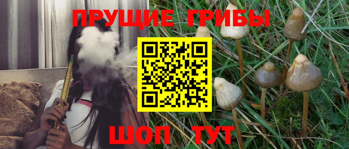 Галлюциногенные грибы мухоморы  Вход с VPN  Елец 