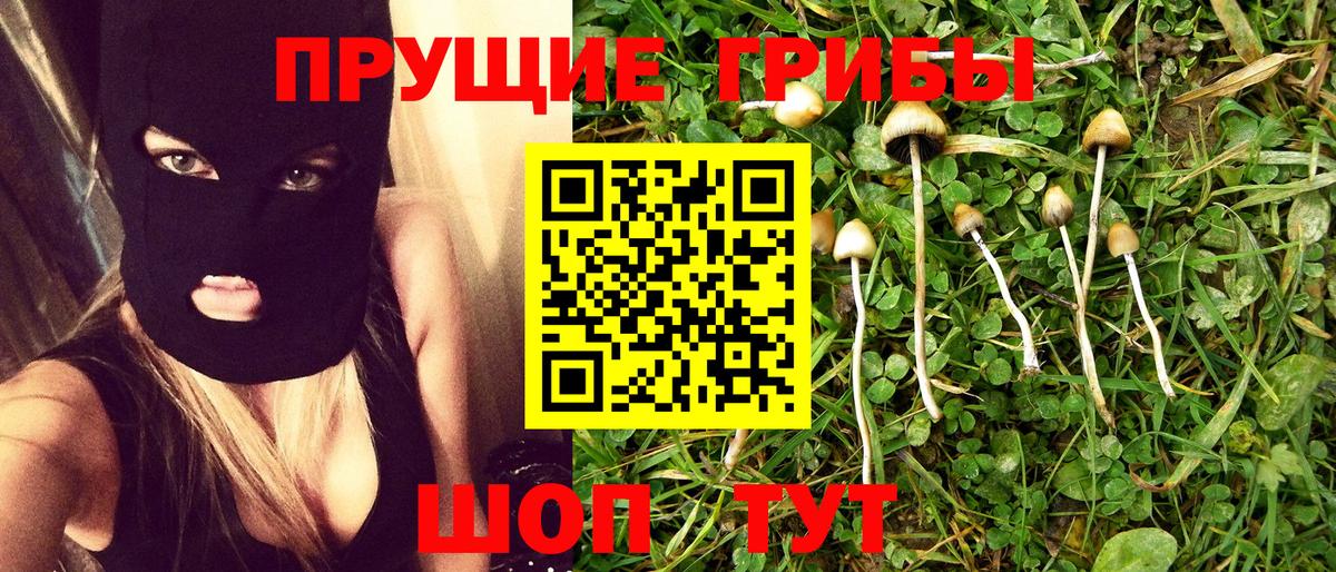 Псилоцибиновые грибы MAGIC MUSHROOMS Елец